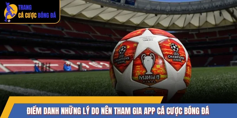 Điểm danh những lý do nên tham gia App cá cược bóng đá