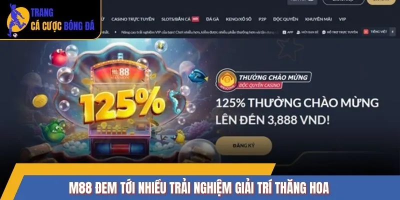 M88 đem tới nhiều trải nghiệm giải trí thăng hoa
